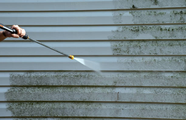 Best Mold Remediation for Specific Building Types in Hennessey, OK