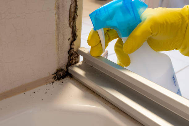 Best Post-Remediation Services in Hennessey, OK