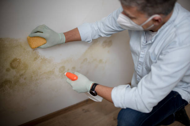 Best HVAC Mold Remediation in Hennessey, OK