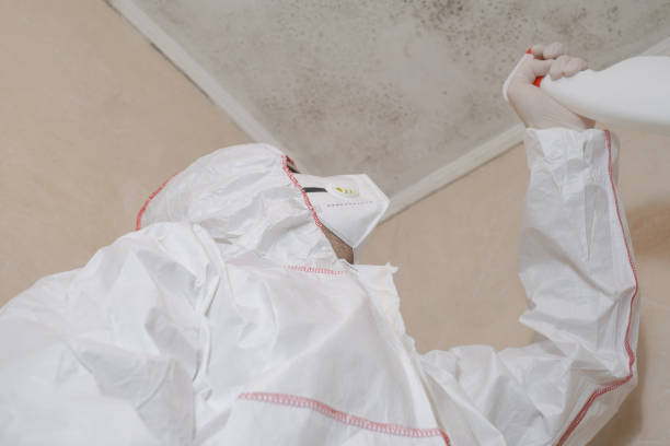 Best Preventive Mold Services in Hennessey, OK