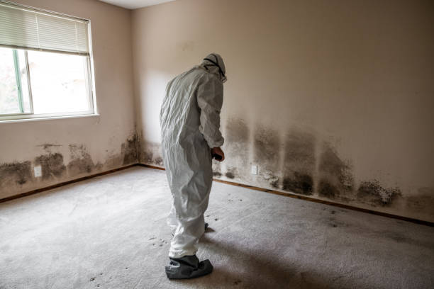 Best Mold Testing and Inspection Services in Hennessey, OK