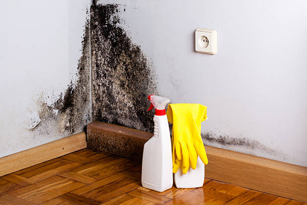 Best Mold Testing and Inspection Services in Hennessey, OK